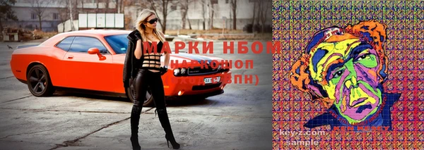 трава Заволжск